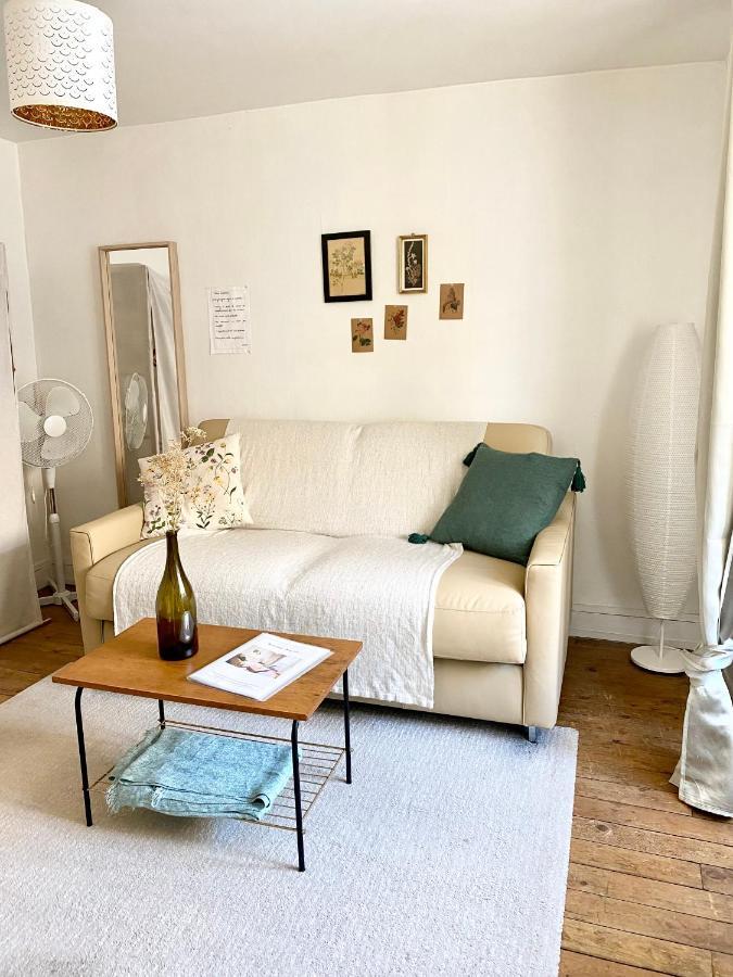 Appart Cosy Dans Le Vieux Tours Apartment Luaran gambar