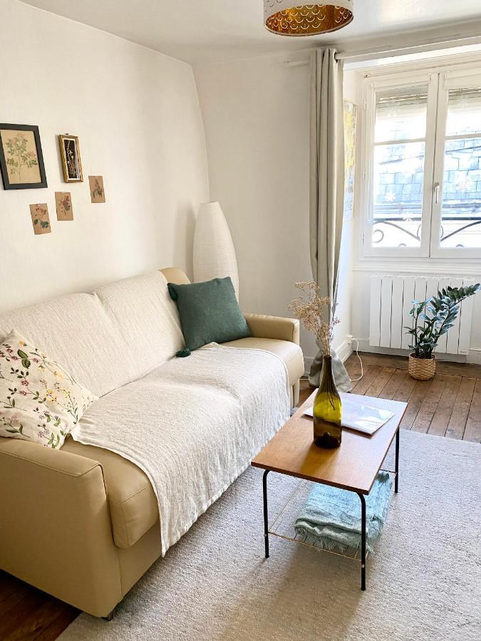 Appart Cosy Dans Le Vieux Tours Apartment Luaran gambar